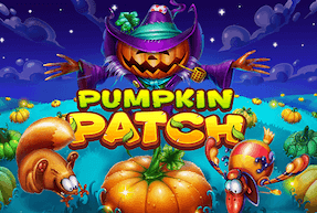 Pumpkin Patch
