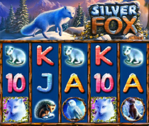 Polar Fox