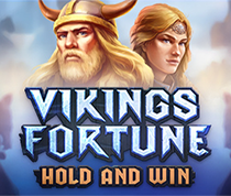 Viking's Fortune: Hold and Win