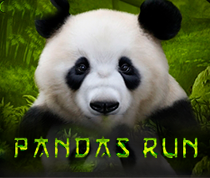 Panda's Run