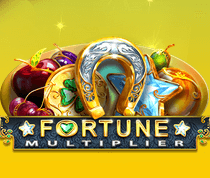 Fortune Multiplier
